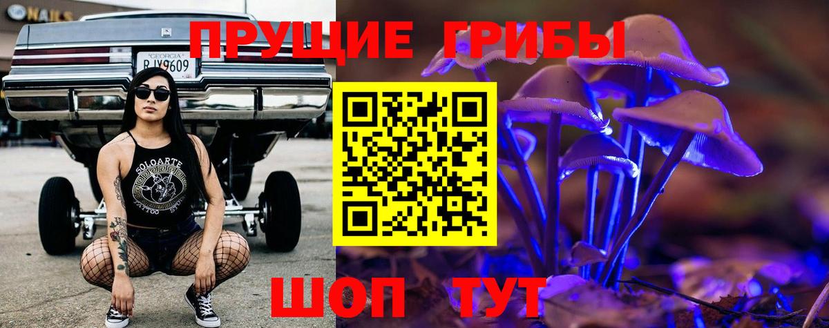 Рыбинск  Галлюциногенные грибы Psilocybe  закладка  Вход с VPN 