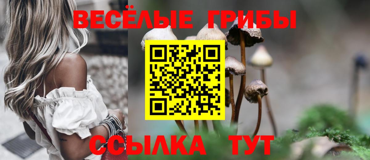 Галлюциногенные грибы мухоморы Рыбинск